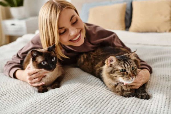 猫和女人。