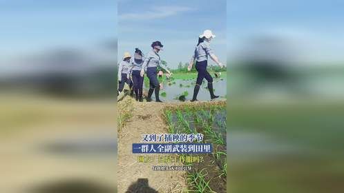 又到了插秧的季节，一群人全副武装到田里，网友：这是工作服吗？