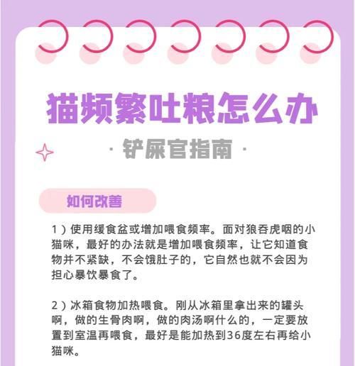 猫产后经常吐猫粮怎么回事？是否需要特别的护理？