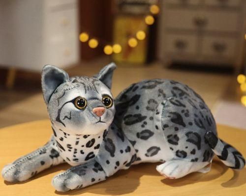 猫咪第一次生产，你需要知道的一切（宠物猫咪第一胎产后的护理方法和注意事项）