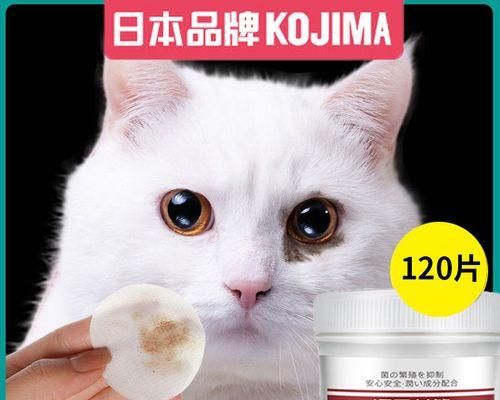 如何给猫咪产后清洁（关爱宠物）