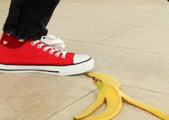宠物养护与训导专业就业方向 可以考兽医证吗