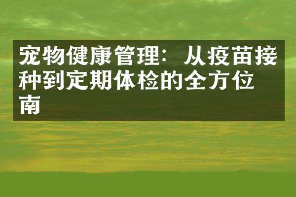 宠物健康管理：从疫苗接种到定期体检的全方位指南