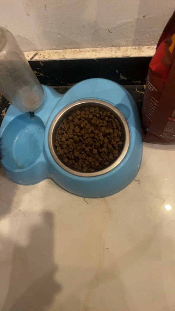 麦富迪狗粮 无谷牛肉双拼粮10kg 低敏配方成犬中大型小型犬通用金毛泰迪柯基 小型犬成犬粮1.5kg晒单图