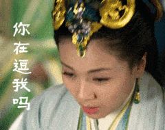 这一篇告诉你狗狗如何补钙, 撕破宠物店忽悠套路, 免去大把冤枉钱