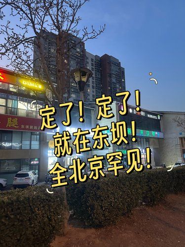 东坝现在真支棱起来了‼️