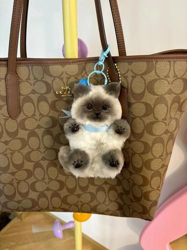 救命 小猫我啊被做成挂件了！ 
