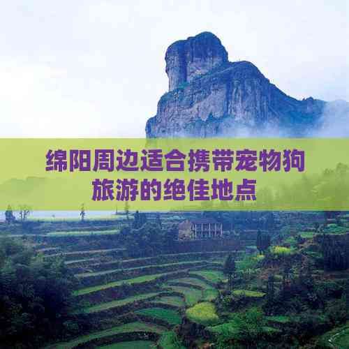 绵阳周边适合携带宠物狗旅游的绝佳地点
