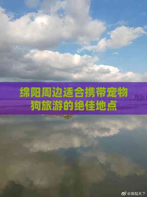 绵阳周边适合携带宠物狗旅游的绝佳地点