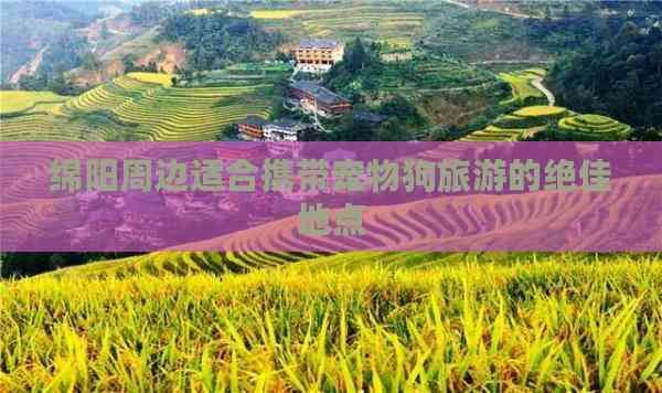 绵阳周边适合携带宠物狗旅游的绝佳地点