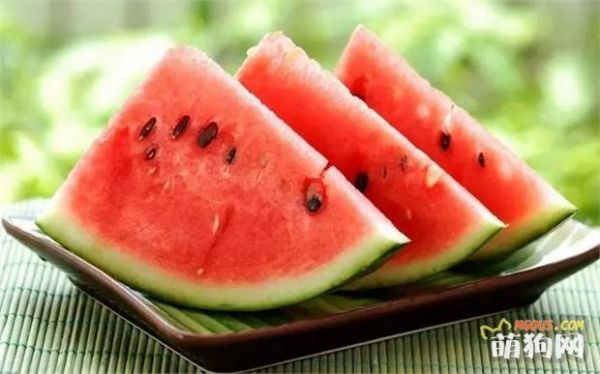 9种水果你可以放心给狗狗食用