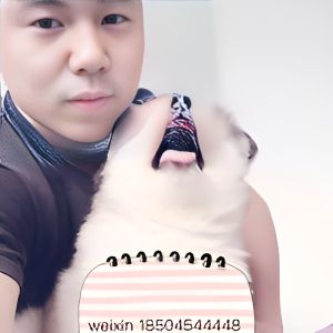 彭走