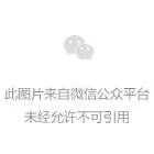 这份急救指南,关键时刻能救猫命!