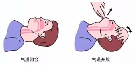 宠物发烧呕吐，掌握急救技巧！