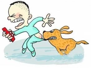 被宠物咬了？速看急救小技巧！