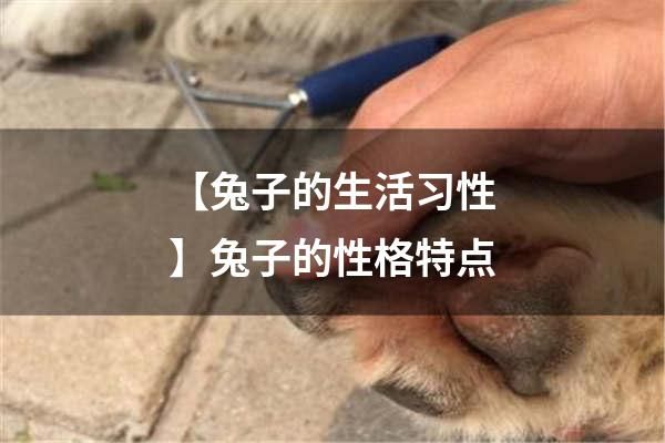 【兔子的生活习性】兔子的性格特点