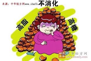 病后宠物饮食调养攻略