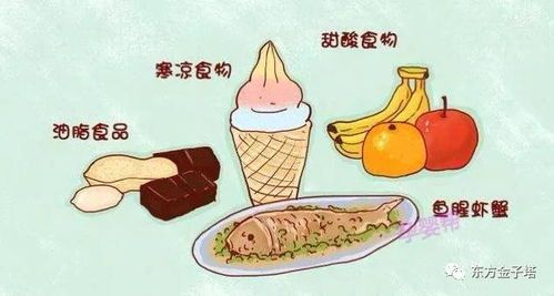 宠物肝肾健康:检查与饮食调养