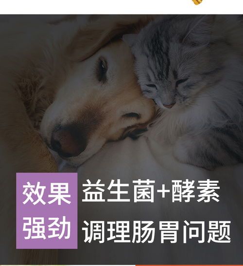 宠物肠胃健康，从调理开始。