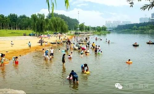 夏日宠物避暑攻略,清凉一夏!