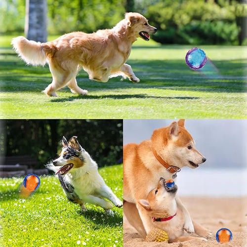 渝北训犬 训狗 宠物犬伴侣犬行为习惯纠正 宠物训练 有口皆碑 合理安排