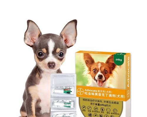 如何给刚满月的小狗驱虫（宠物保健必备——驱虫指南）