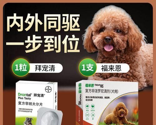 如何给刚满月的小狗驱虫（宠物保健必备——驱虫指南）