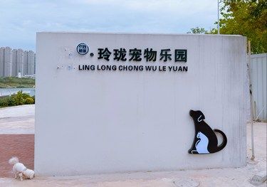 ️南宁宠物天堂｜带毛孩子来玲珑宠物乐园过周末
