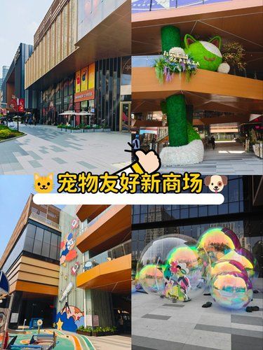 又一座宠物友好商场，遛狗遛猫新选择！