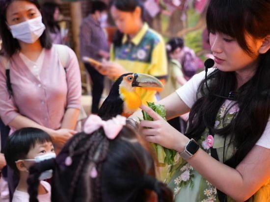 通过多样化的动物科普互动,让人与自然和谐共生的理念从小植入孩子心中。