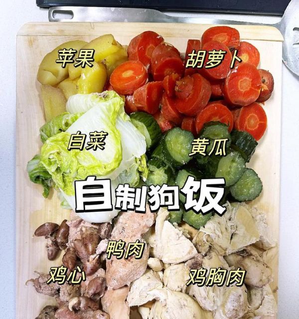 如果狗不吃狗粮，如何自制食物给它？