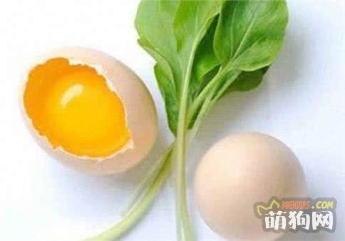 6个亮泽狗狗毛发的食物，第4种食物极少人知道！