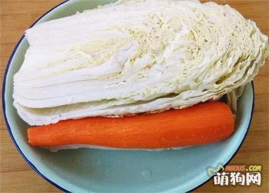 6个亮泽狗狗毛发的食物，第4种食物极少人知道！