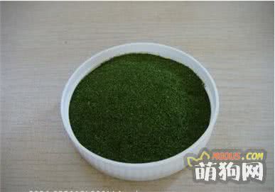 6个亮泽狗狗毛发的食物，第4种食物极少人知道！