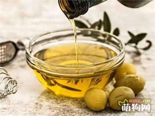 6个亮泽狗狗毛发的食物，第4种食物极少人知道！