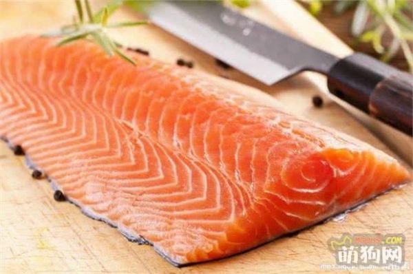 6个亮泽狗狗毛发的食物，第4种食物极少人知道！