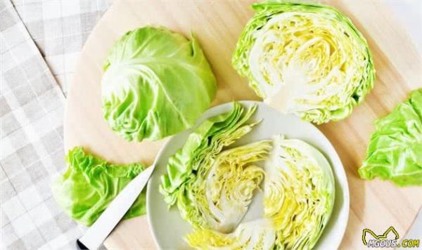 这些有益狗狗健康的蔬菜，你都给狗吃过吗？
