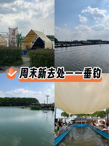 周末娱乐好项目