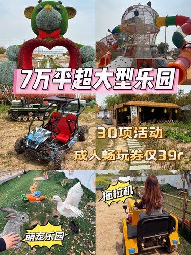 在上海❗️7万平游乐园❗️成人券仅39r❗️