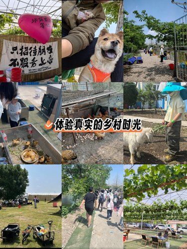 做一天小小农场主，做一天快乐小孩✨