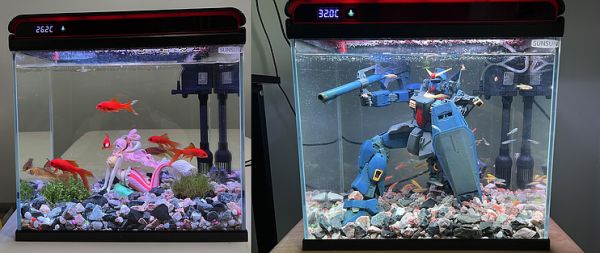 生态鱼缸造景教程全过程全过程全过程全过程全过程（如何制作生态鱼缸）