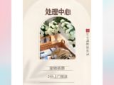 上海猫猫火化服务-上海宠物火化电话