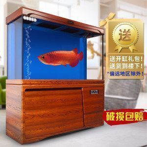 龙鱼用什么鱼缸比较好养活（如何选择一个适合龙鱼的鱼缸）