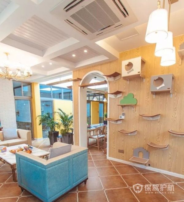 小型猫舍装修效果图-保驾护航