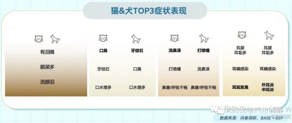 2023年淘系宠物健康赛道趋势洞察:皮毛及五官健康是成交核心领域