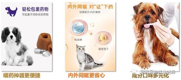 2023年淘系宠物健康赛道趋势洞察:皮毛及五官健康是成交核心领域