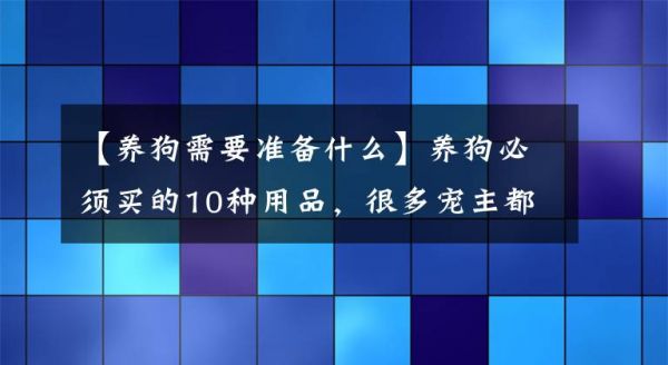 【养狗需要准备什么】养狗必须买的10种用品，很多宠主都没有买，你买了哪个少？文章配图