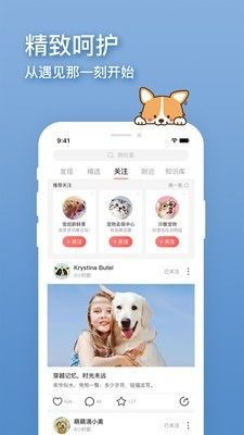 宠物必备神器，热推清单！