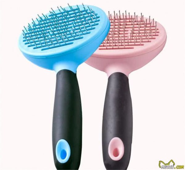 养宠物必备的四件物品，看你都买好了吗？