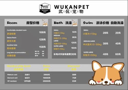 迪迪宠物店：为你的宠物提供最优质的服务？宠物店必备清单：如何挑选适合宠物的食品和用品